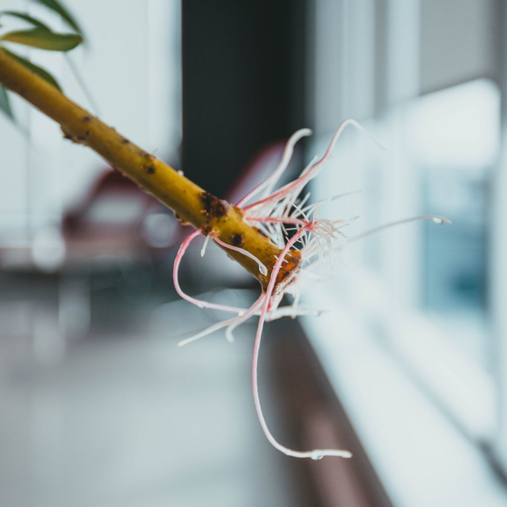 Návrh bez názvu (37)